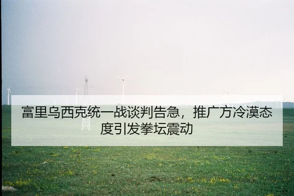 富里乌西克统一战谈判告急，推广方冷漠态度引发拳坛震动